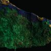 Azurite Malachite - Image 2