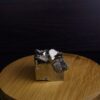 Pyrite Cube