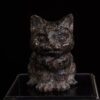 Kitty: Llanite
