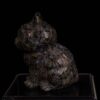 Kitty: Llanite - Image 4
