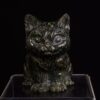 Kitty: Labradorite